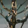Collection  Anthropomorphic Tree Paintings