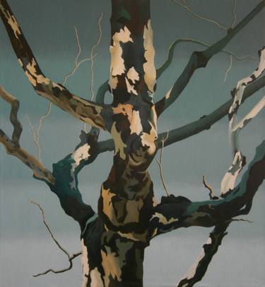 Original Tree Paintings by Mary Hrbacek