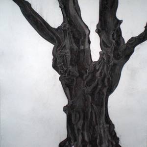 Collection Anthropomorphic Tree Drawings