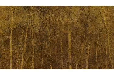 Print of Abstract Tree Photography by Tom Bradley