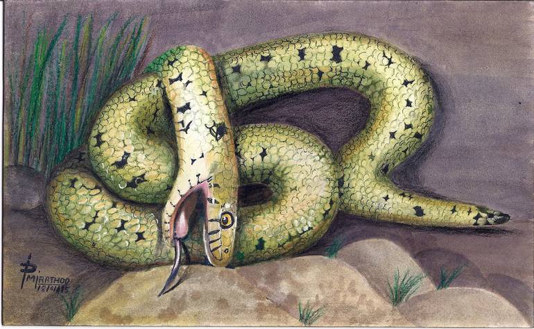 Grass Snake ~ Natrix - Natrix Painting By Mahendra Rathod 