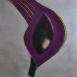 Collection Women Artists Inspired by Georgia O’Keeffe