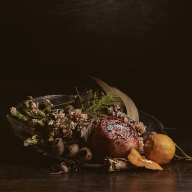 Original Still Life Photography by Gustavo Osorio