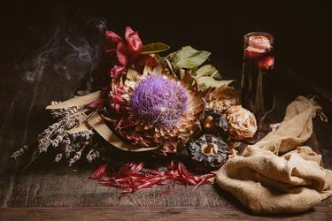 Original Fine Art Still Life Photography by Gustavo Osorio