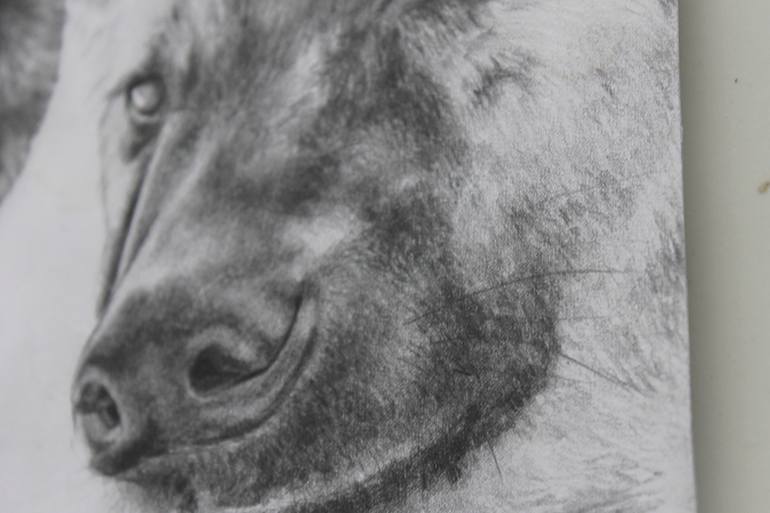 Original Modernism Animal Drawing by Taufiq Umar