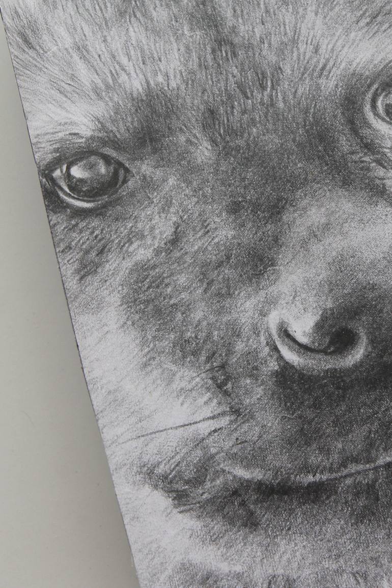 Original Modernism Animal Drawing by Taufiq Umar