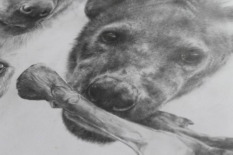 Original Modernism Animal Drawing by Taufiq Umar