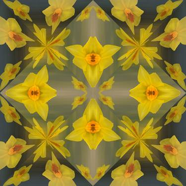 Daffodils 28 thumb
