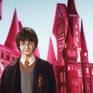 Harry Potter - Detail