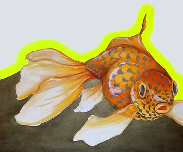 Original Fish Paintings by Sarah Edwards