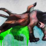 Collection High Contrast: Vibrant Neon