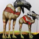 Proud Camels by Sarah Edwards