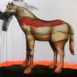 Proud Horse by Sarah Edwards