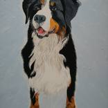 Rupert by Ariel Chavarro Avila