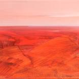 Area 28 by Katrin Roth