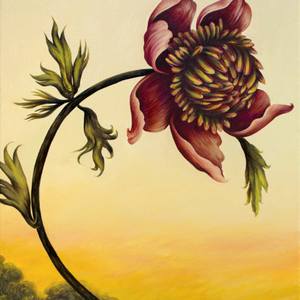 Collection Florals Inspired by Georgia O’Keeffe