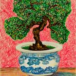 Bonsai by Oksana Reznik