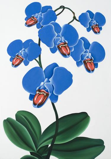 Blue Phalaenopsis thumb