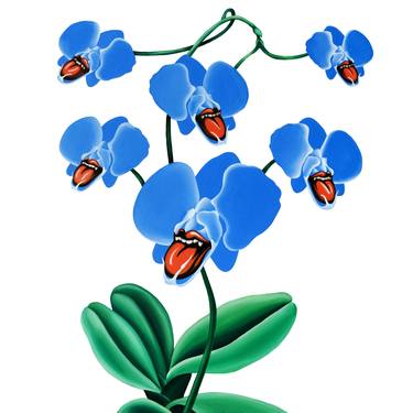 Blue orchid thumb