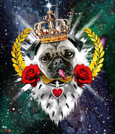 Pug - The King with Roses - Crazy animals thumb