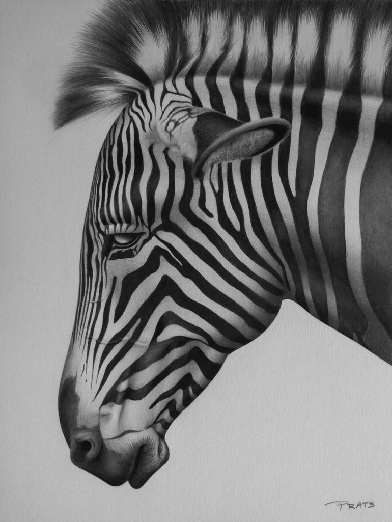 zebra Drawing by Pablo Pedrajas Prats | Saatchi Art