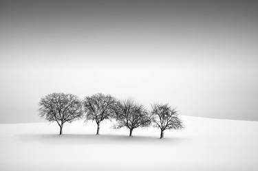 Original Fine Art Landscape Photography by Dominique Dubied