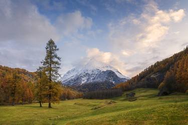 Print of Fine Art Seasons Photography by Dominique Dubied