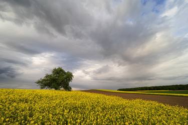 Print of Fine Art Seasons Photography by Dominique Dubied