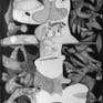 view additional image 1