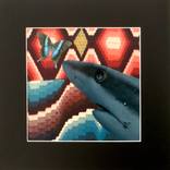 La confession du requin by Myriam O
