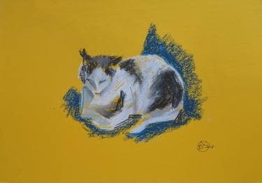 Original Figurative Cats Drawings by Andreea- Mara Mancas