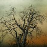 Breathing Room by Christopher Owen Nelson