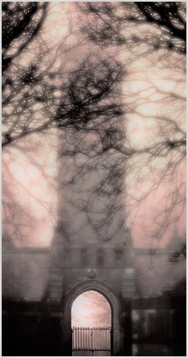 Print of Conceptual Landscape Photography by Jo Elizabeth