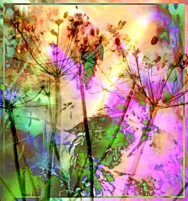 Original Abstract Botanic Photography by Jo Elizabeth