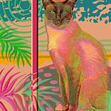 House Cat by Jo Elizabeth