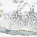 Two Stoic Gums by Rochelle Summerfield