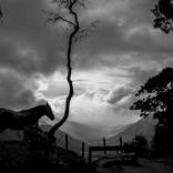 Lights in the sky - Edition 1/5 by Fran Zangari
