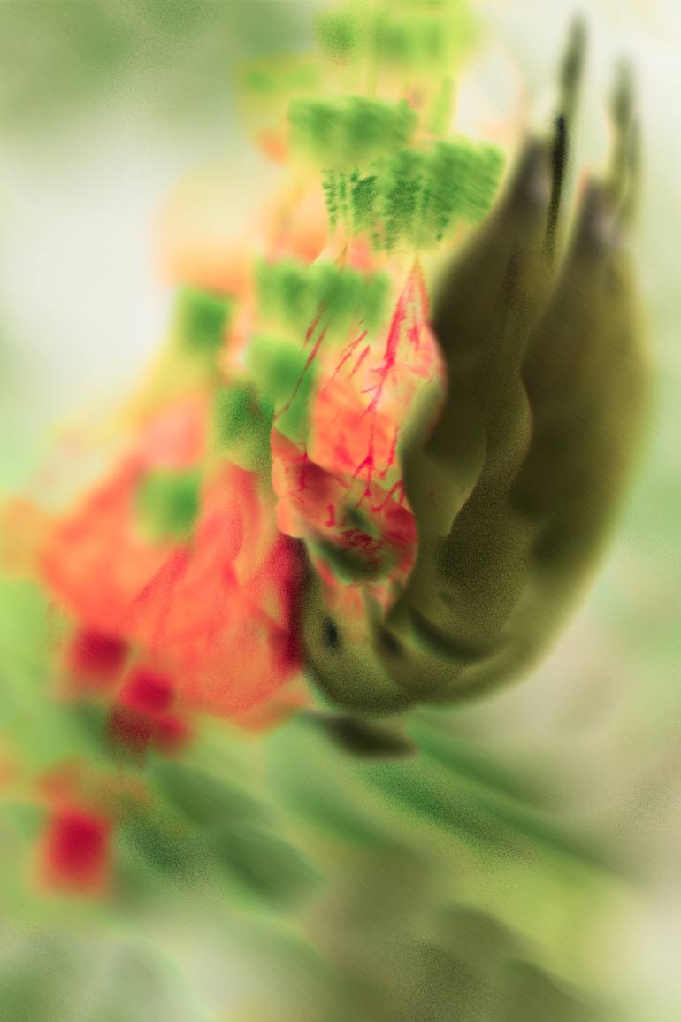 Original Nature Photography by Totoo G | Impressionism Art on Other | The Hang Cafe - 17012017