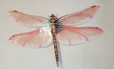 dragonfly II thumb
