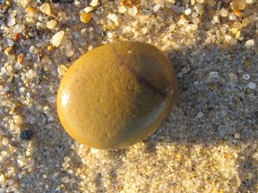 Cape Cod Beach Pebble thumb