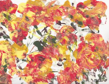 Carnations by Cezean Mat thumb