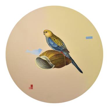 Búzio com pássaro azul –  Lost Paradise Series thumb