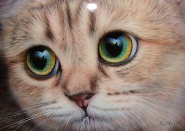 "cat" airbrush painting art thumb