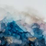 OYSTER VI by Christina Twomey