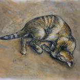 Sleeping Cat l by Malcolm Tait
