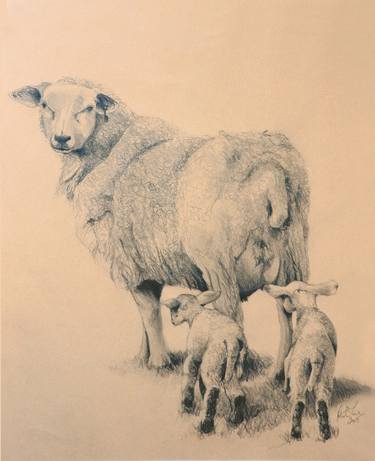 Ewe and two lambs thumb