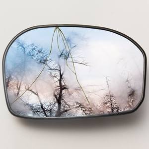 Collection Art for the Treasure Hunter