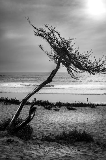 Carmel By the Sea Black and White thumb
