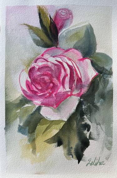 Pink and White Rose thumb