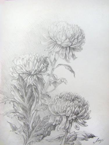 Original Floral Drawings by Inna Mosienko